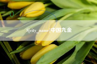 深圳中国九金