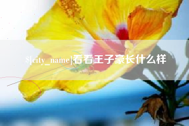 深圳看看王子豪长什么样