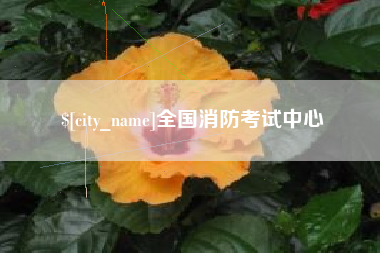 深圳全国消防考试中心