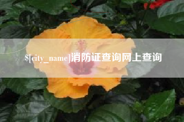 深圳消防证查询网上查询