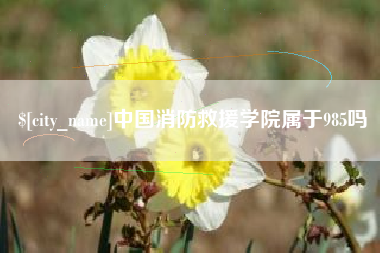 深圳中国消防救援学院属于985吗