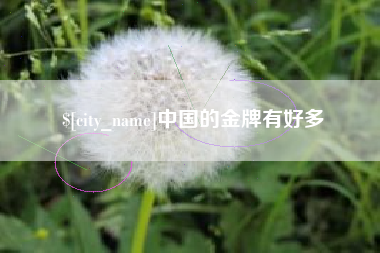 深圳中国的金牌有好多