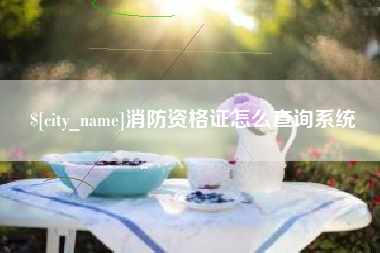 深圳消防资格证怎么查询系统