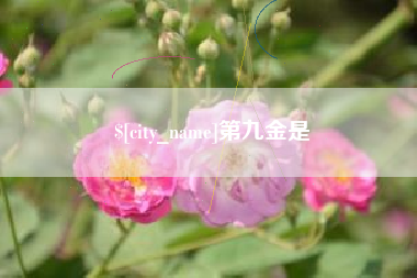 深圳第九金是