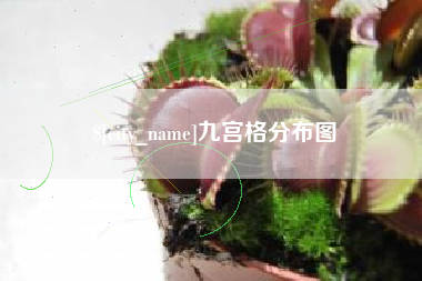深圳九宫格分布图