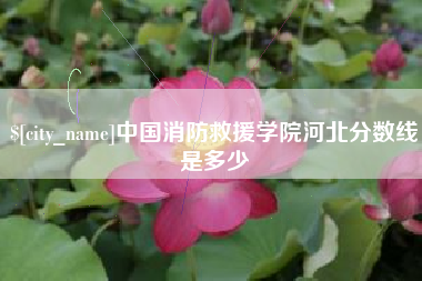 深圳中国消防救援学院河北分数线是多少