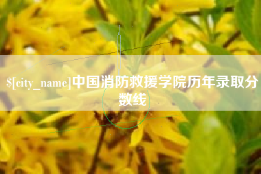 深圳中国消防救援学院历年录取分数线