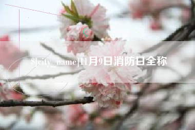 深圳11月9日消防日全称