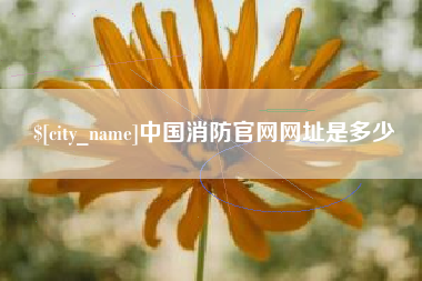 深圳中国消防官网网址是多少