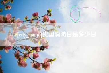 深圳我国消防日是多少日