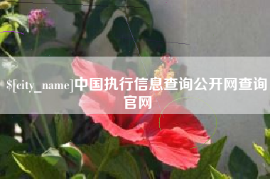 深圳中国执行信息查询公开网查询官网