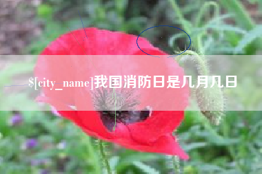 深圳我国消防日是几月几日