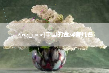 深圳中国的金牌有几名