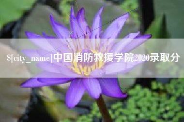 深圳中国消防救援学院2020录取分