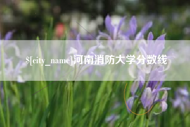 深圳河南消防大学分数线