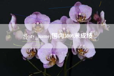 深圳国内5000米成绩