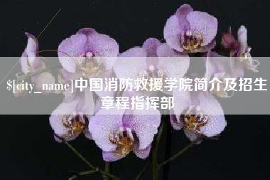深圳中国消防救援学院简介及招生章程指挥部