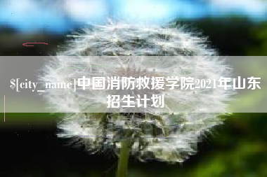 深圳中国消防救援学院2021年山东招生计划