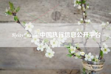 深圳中国执行信息公开平台