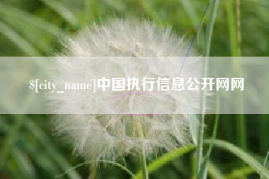 深圳中国执行信息公开网网