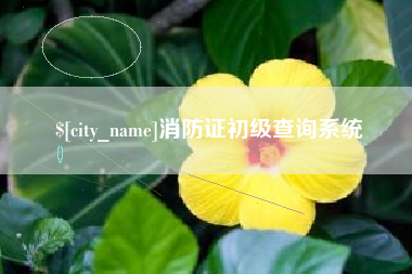 深圳消防证初级查询系统