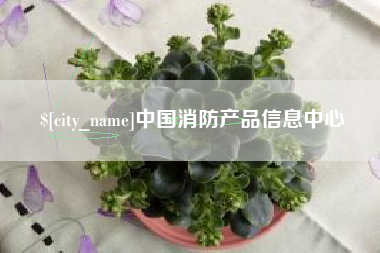 深圳中国消防产品信息中心