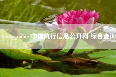 深圳中国执行信息公开网 综合查询