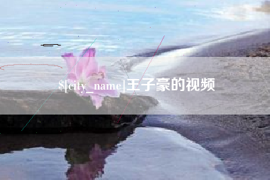 深圳王子豪的视频
