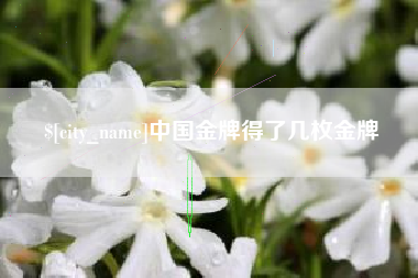 深圳中国金牌得了几枚金牌