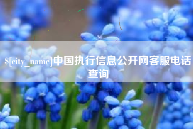 深圳中国执行信息公开网客服电话查询