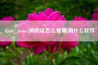 深圳消防证怎么查询,用什么软件