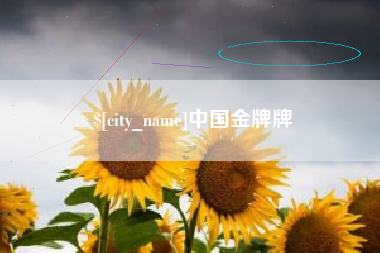 深圳中国金牌牌