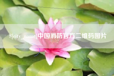 深圳中国消防官方二维码图片