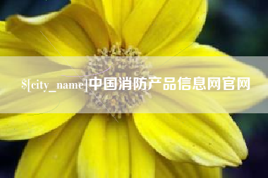 深圳中国消防产品信息网官网