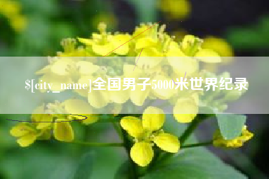 深圳全国男子5000米世界纪录