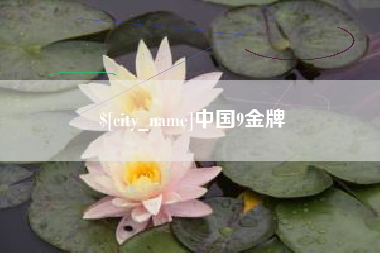 深圳中国9金牌