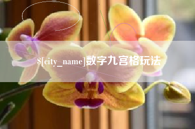 深圳数字九宫格玩法