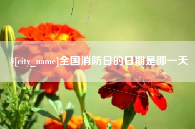 深圳全国消防日的日期是哪一天