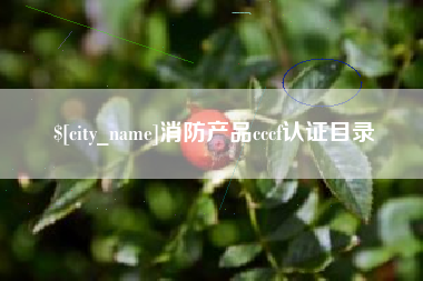 深圳消防产品cccf认证目录