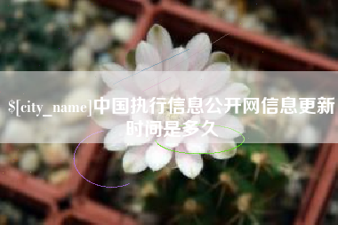 深圳中国执行信息公开网信息更新时间是多久