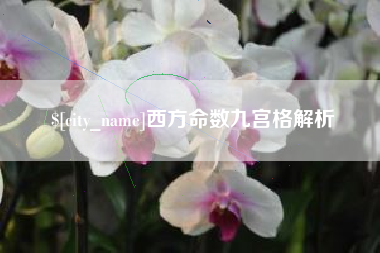深圳西方命数九宫格解析