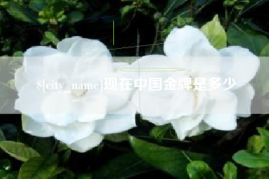 深圳现在中国金牌是多少