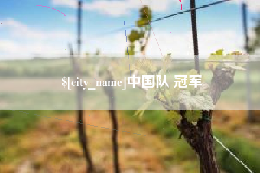 深圳中国队 冠军