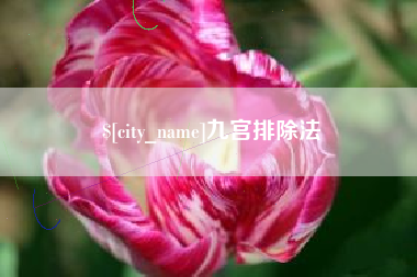 深圳九宫排除法