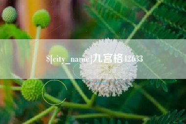 深圳九宫格42633