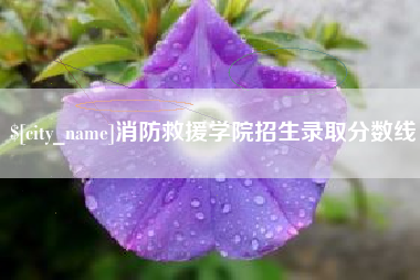 深圳消防救援学院招生录取分数线