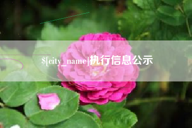 深圳执行信息公示