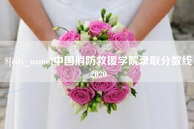 深圳中国消防救援学院录取分数线2020