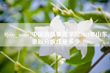 深圳中国消防救援学院2021年山东录取分数线是多少