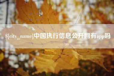 深圳中国执行信息公开网有app吗